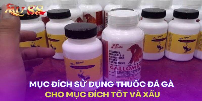 Mục đích sử dụng thuốc đá gà bịp 